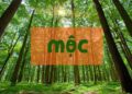 Mệnh Mộc hợp màu gì? kỵ màu gì? phối màu chuẩn trang trí nhà