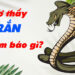 Giải mã nằm mơ thấy rắn là điềm tốt hay xấu? Đánh đề con gì?