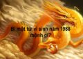 Bí mật tử vi sinh năm 1988 mệnh gì?