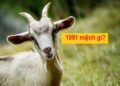 Bí mật tử vi sinh năm 1991 mệnh gì?