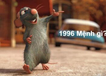1996 mệnh gì?