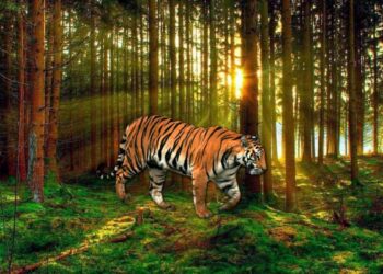 Bí mật tử vi sinh năm 1998 mệnh gì?