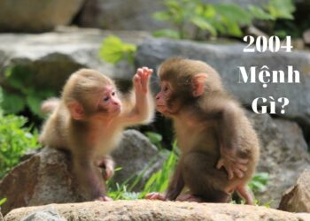 Bí mật tử vi sinh năm 2004 mệnh gì?