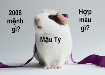 Bí mật tử vi sinh năm 2008 mệnh gì?