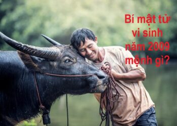 Bí mật tử vi sinh năm 2009 mệnh gì?