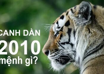 Bí mật tử vi sinh năm 2010 mệnh gì?