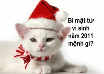 Bí mật tử vi sinh năm 2011 mệnh gì?