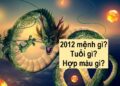 Bí mật tử vi sinh năm 2012 mệnh gì?