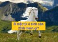 Bí mật tử vi sinh năm 2026 mệnh gì?