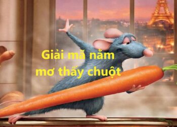 Giải mã nằm mơ thấy chuột là điềm tốt hay xấu?