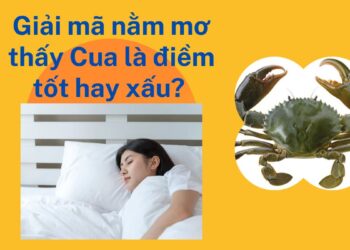 Giải mã nằm mơ thấy Cua là điềm tốt hay xấu?