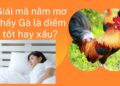 Giải mã nằm mơ thấy Gà là điềm tốt hay xấu?