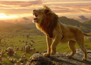 Giải mã nằm mơ thấy Sư tử là điềm tốt hay xấu?