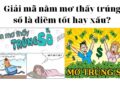 Giải mã nằm mơ thấy trúng số điềm tốt hay xấu?
