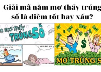 Giải mã nằm mơ thấy trúng số điềm tốt hay xấu?