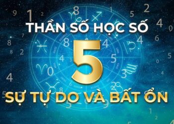 Ý nghĩa thần số học số 5, hợp với số nào? nên làm nghề gì?