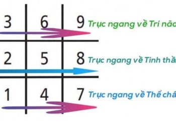 Mũi tên thần số học là gì? Cách xác định như nào?