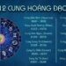 Giải mã 12 cung hoàng đạo đầy đủ, chính xác và ý nghĩa của mỗi cung