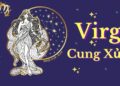 Cung Xử Nữ là cung gì? Những cung hợp, khắc với cung Xử Nữ