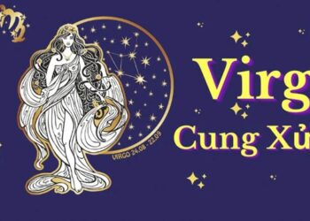 Cung Xử Nữ là cung gì? Những cung hợp, khắc với cung Xử Nữ